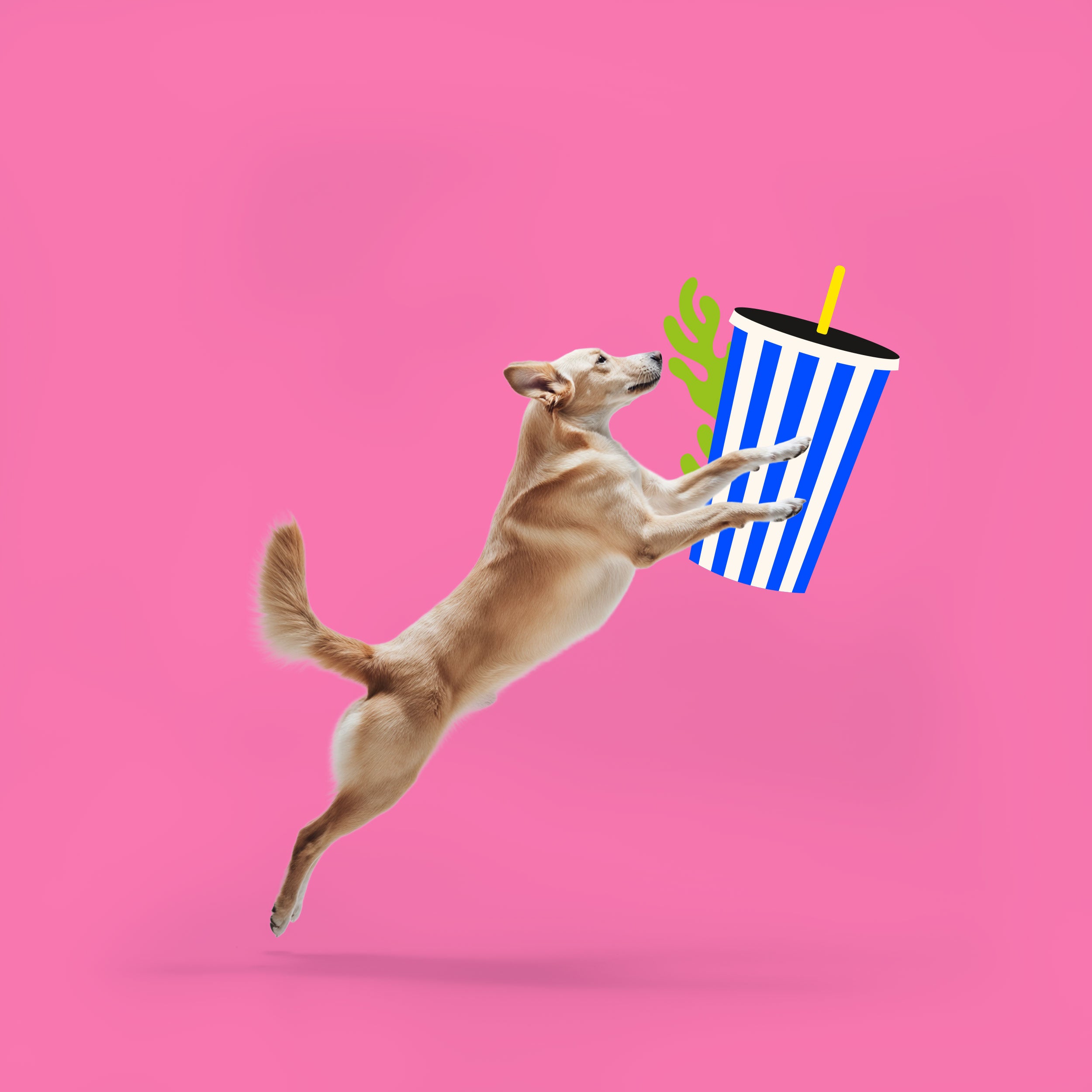 Hund der dem Signature Big Blue Dogs Becher mit blau-weissen Streifen hinterherspringt