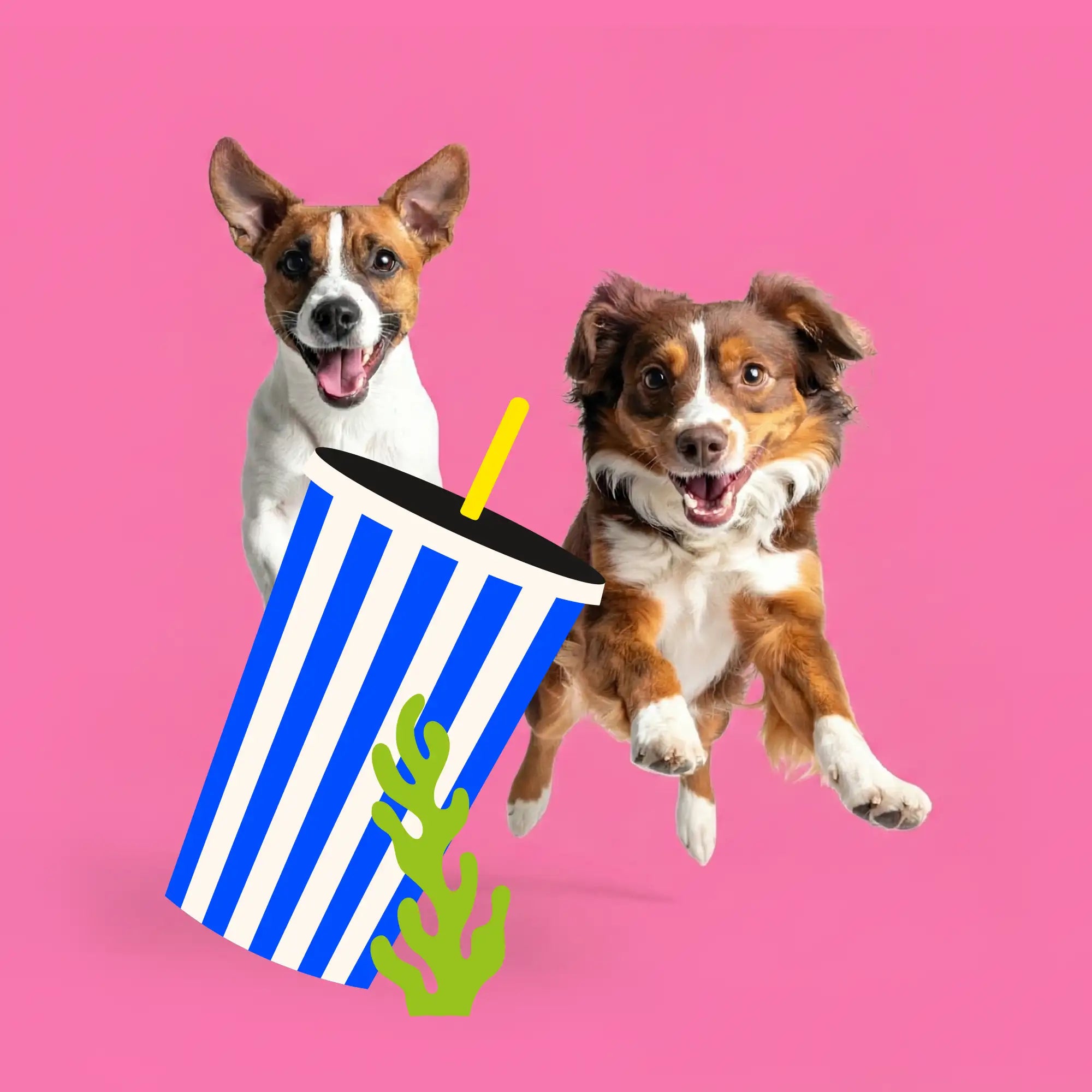 2 offensichtlich zufriedene und glückliche Hunde trollen dynamisch herum und wir sehen den Big Blue Dogs Signature Becher in blau-weiss gestreift mit einer illustrierten Alge