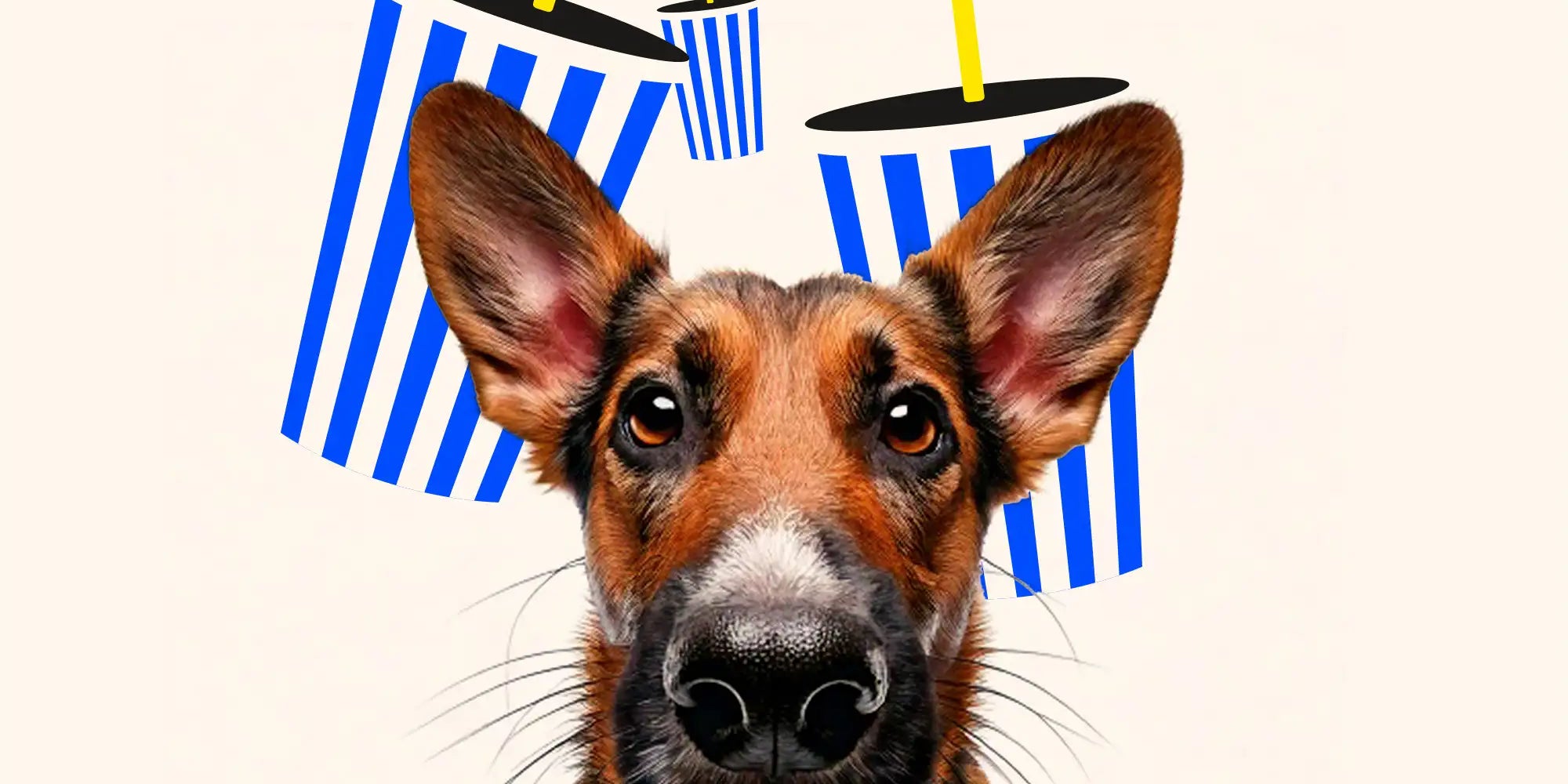 Big Blue Blog Abbildung dreier Signature Blau-Weiß-gestreiften Becher plus eine Abbildung eines realen Hundes, als Kategoriebild für die Sektion Mikronährstoffe, Variante 1