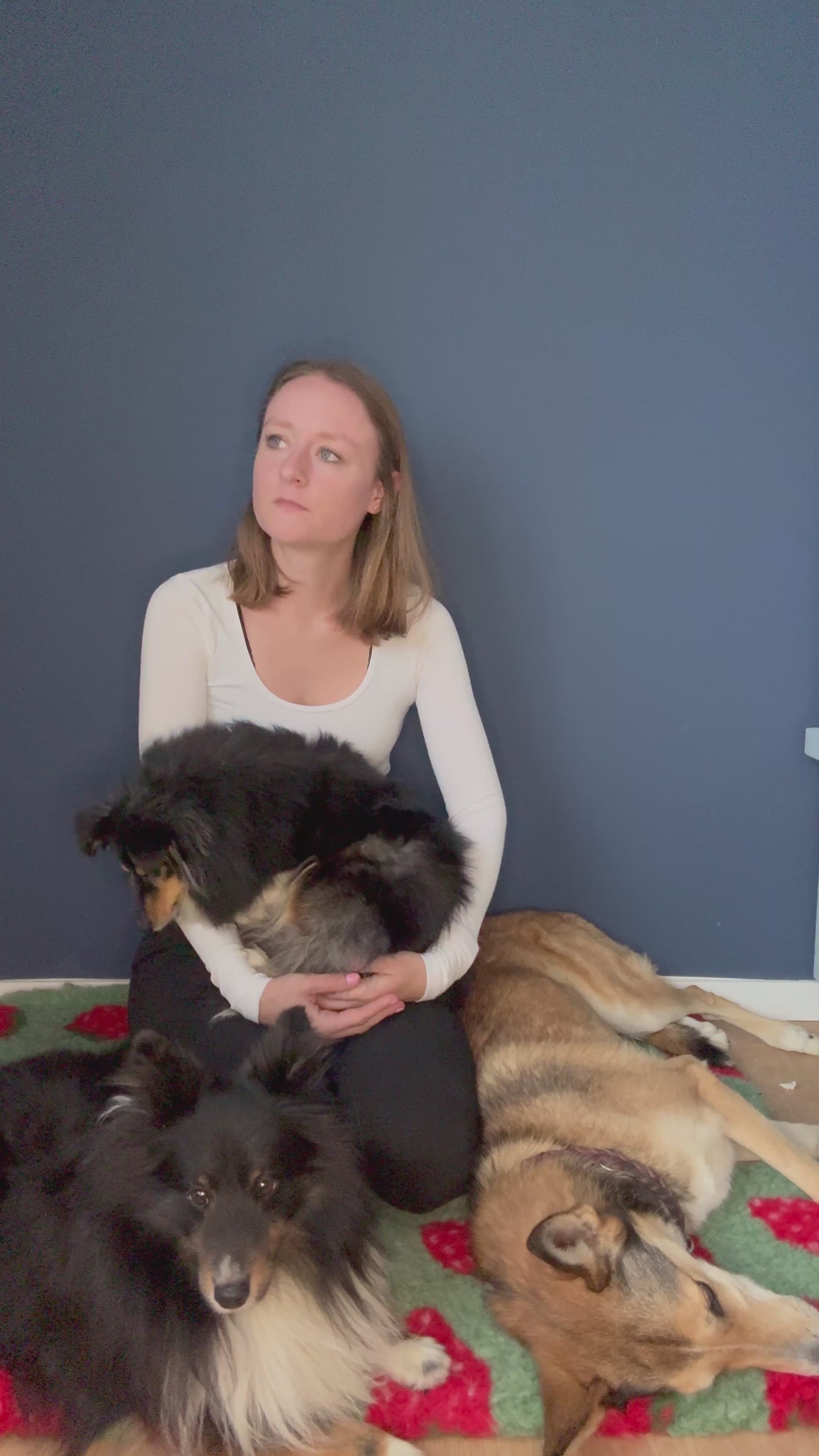 Lucia Hundeernährungsberaterin hat die Erfahrung gemacht: Probiotische Kulturen und Faserstoffe können die Darmgesundheit unterstützen.