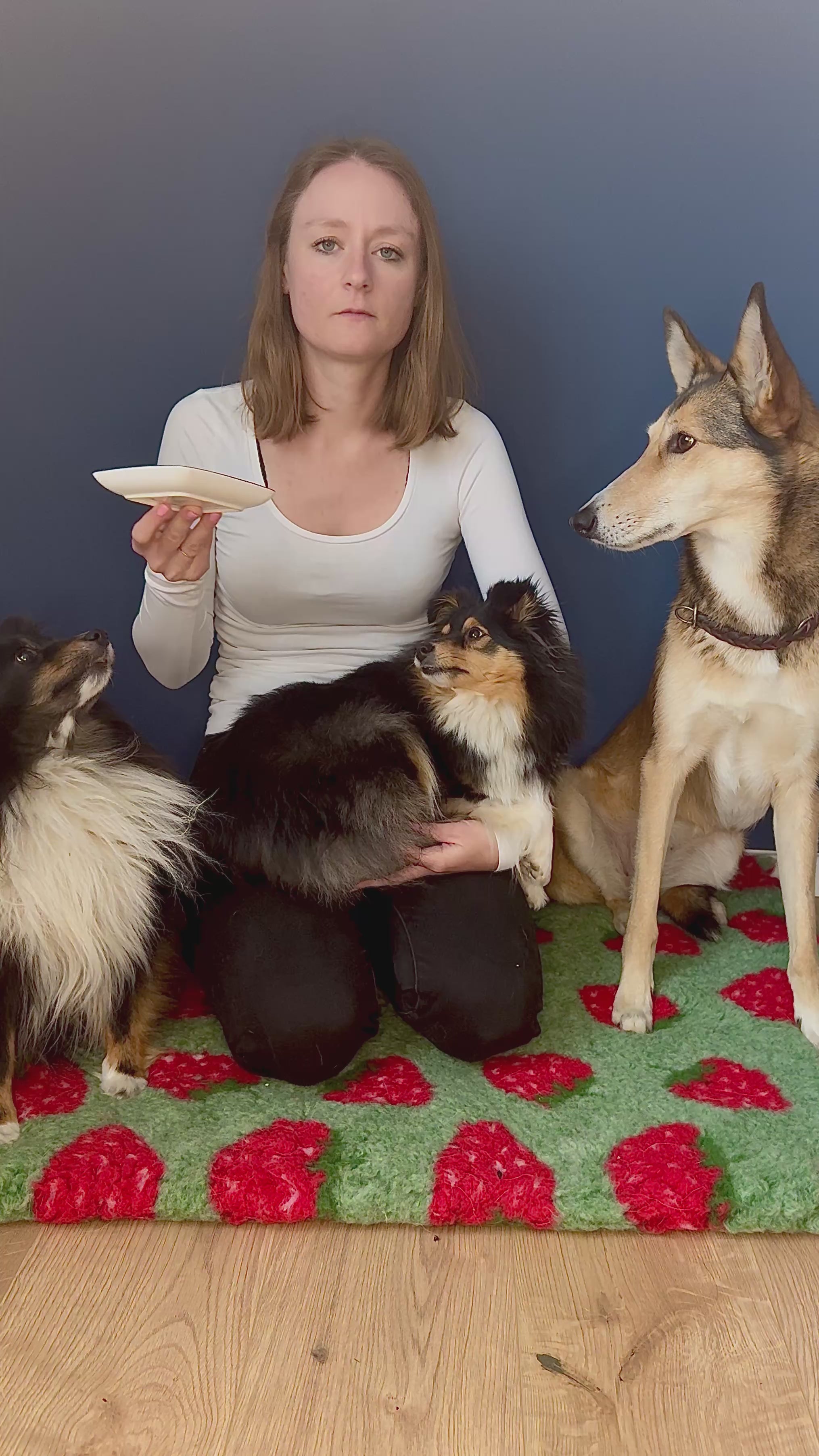 Lucia Hundeernährungsberaterin hat die Erfahrung gemacht: Juckreiz sowie Haut &  Fell Probleme können durch gezielte Nahrungsergänzung unterstützt werden.